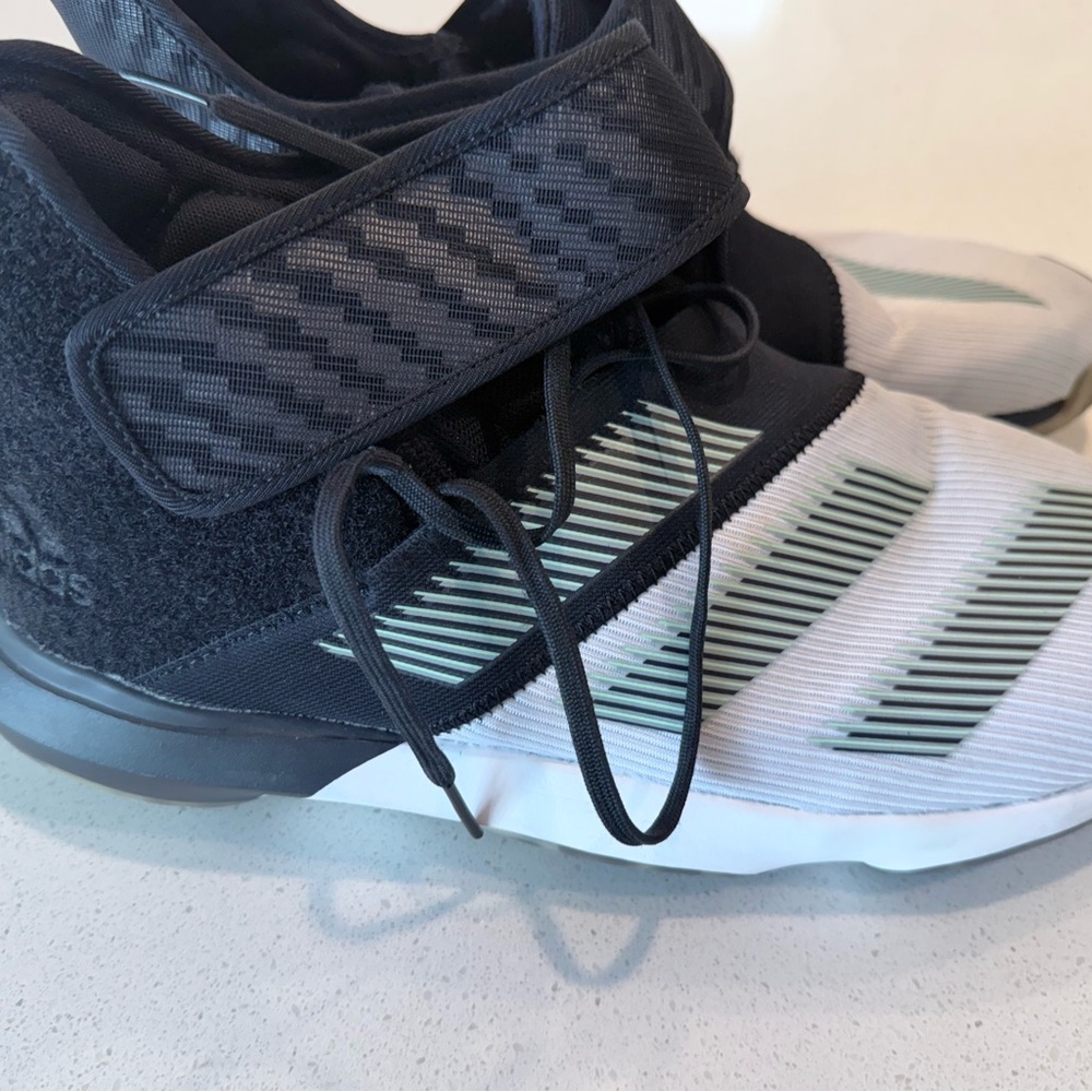 Adidas Harden B/E Black and White Shoes